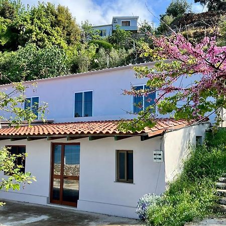Residence Villa Denny&Villa Kate Борш Екстер'єр фото