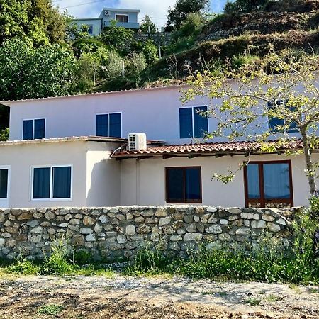 Residence Villa Denny&Villa Kate Борш Екстер'єр фото
